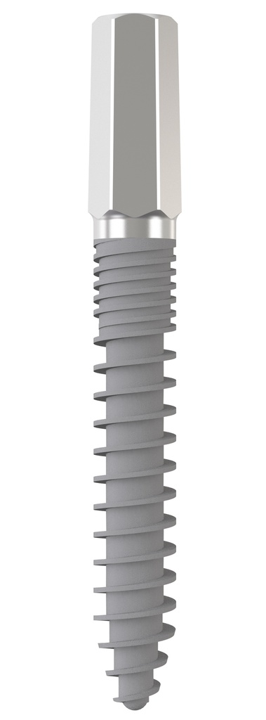 Implantat 0° D 3,0 x L 17 mm - VPE 4 St.