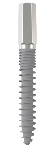 [IS.30.17-4] Implantat 0° D 3,0 x L 17 mm - VPE 4 St.